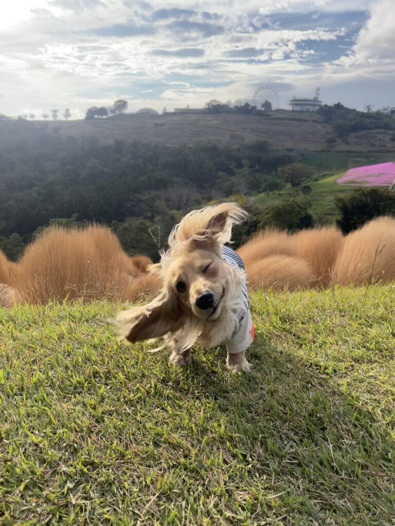 酒井智子_エントリエ_スタッフ