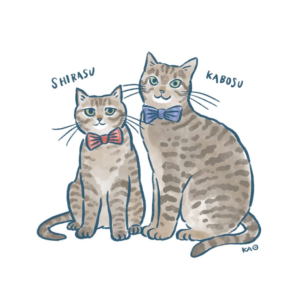 描くことと猫と ― 700匹を描いて見えたもの_イラストレーター 三上かおりさん_エントリエwebマガジン