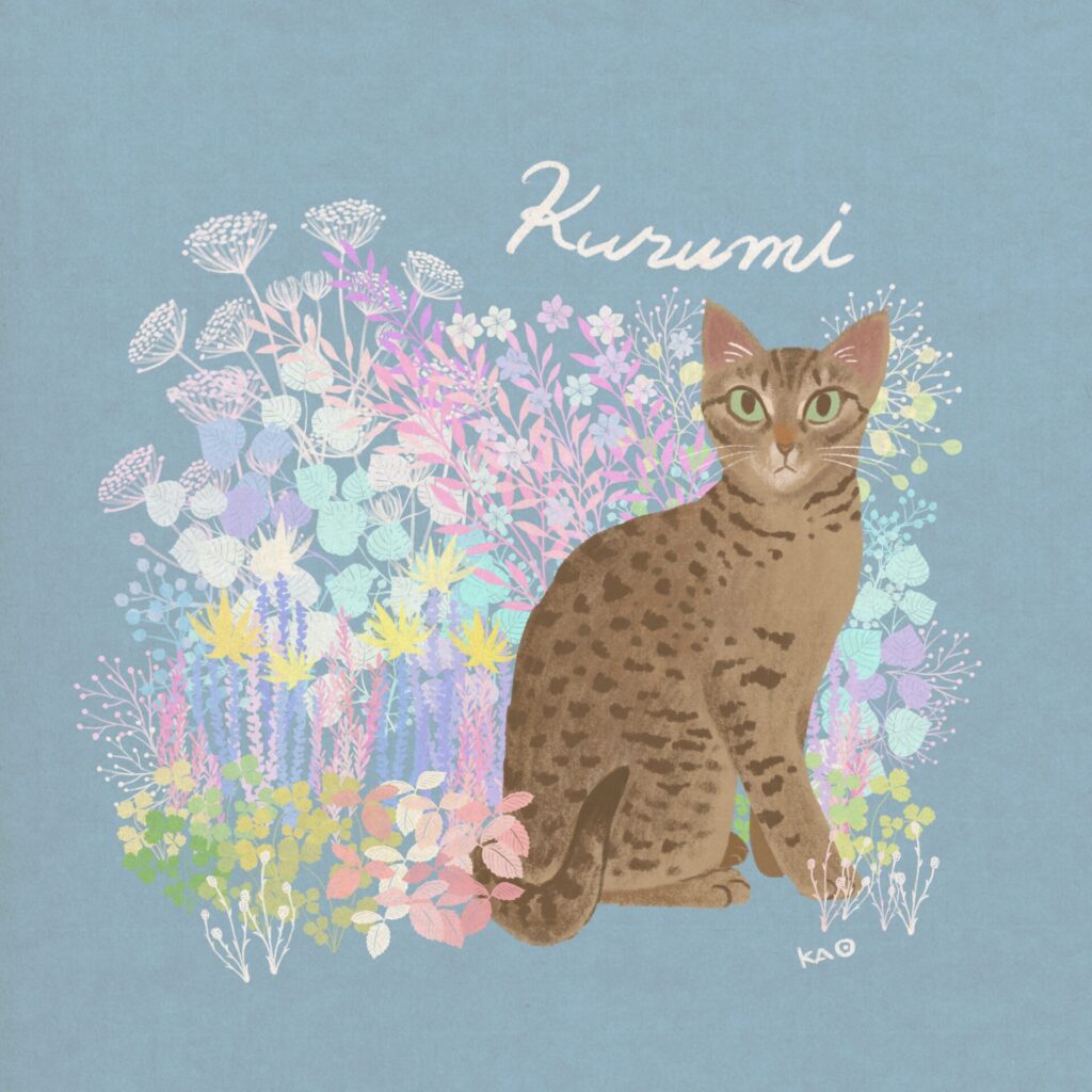 描くことと猫と ― 700匹を描いて見えたもの_イラストレーター 三上かおりさん_エントリエwebマガジン