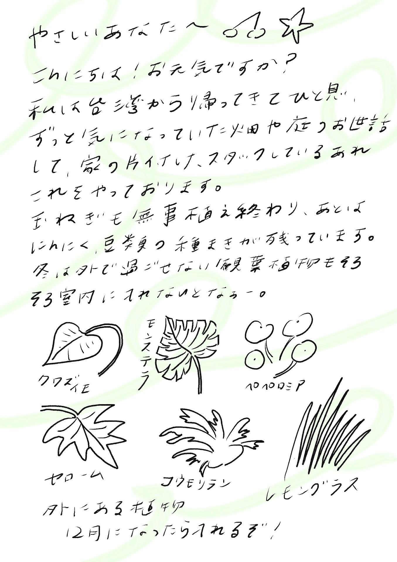 やさしいあなたへ〜☕️✨

こんにちは！お元気ですか？
私は台湾から帰ってきてひと息。
ずっと気になっていた畑や庭のお世話
そして家の片付けなど、ストックしているあれ
これをやっております。

玉ねぎも無事種まき終わり、あとは
にんにく、豆類の種まきが残っています。
冬は外で過ごせない観葉植物もそろそろ
室内に入れないとなぁ〜。

エントリエWEBマガジン