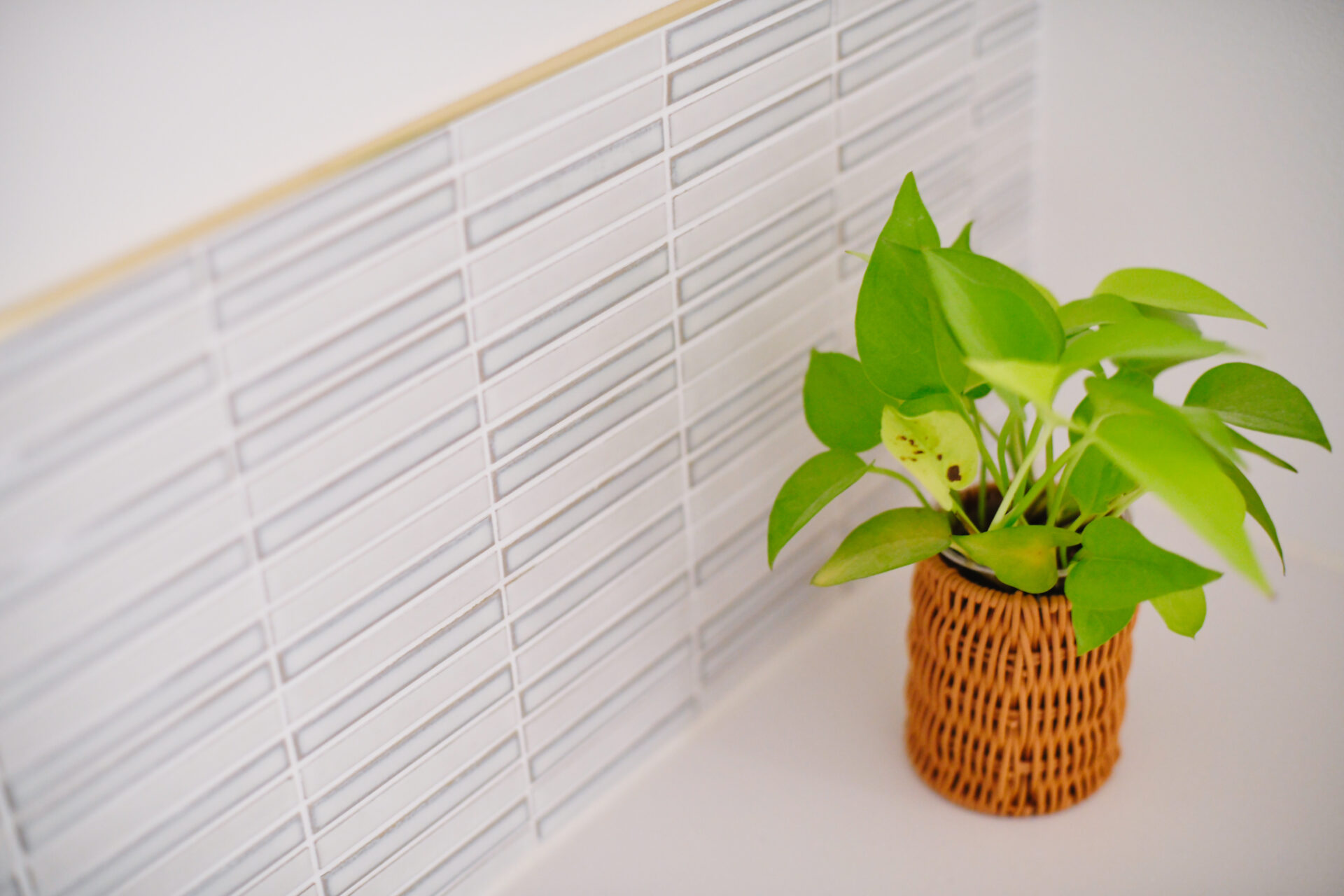 マンション_リノベーション_洋室_収納_澤 雄太担当_エントリエ