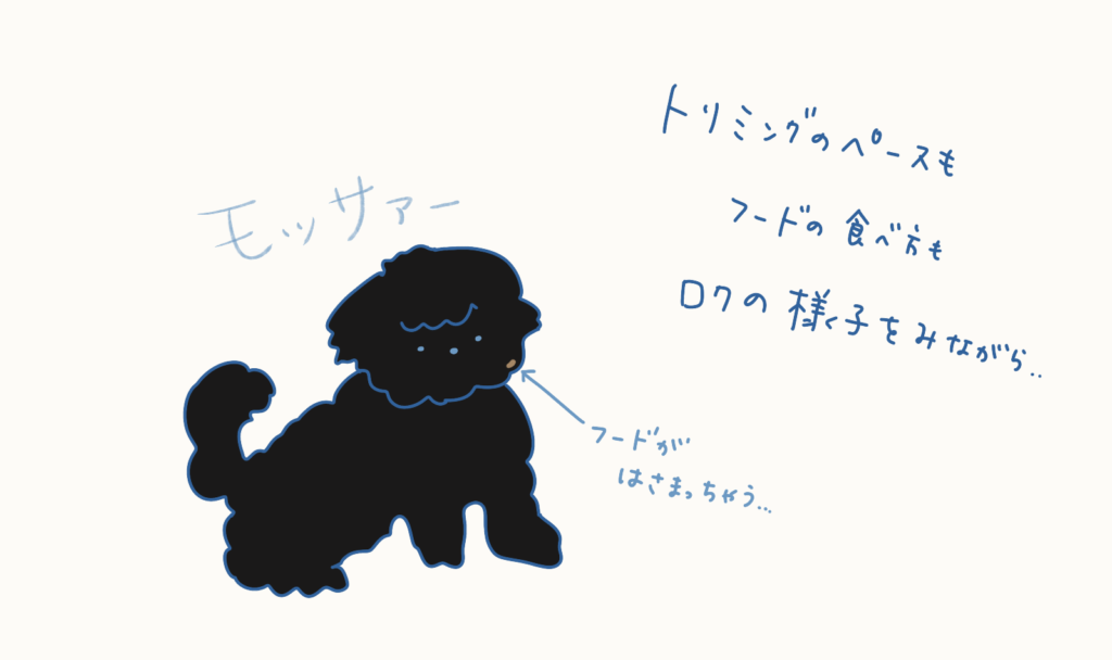 モコモコした黒い犬のイラストと、「トリミングのペース」「フードの食べ方」「日々の様子を見ながら」などを考えるメモが添えられている。