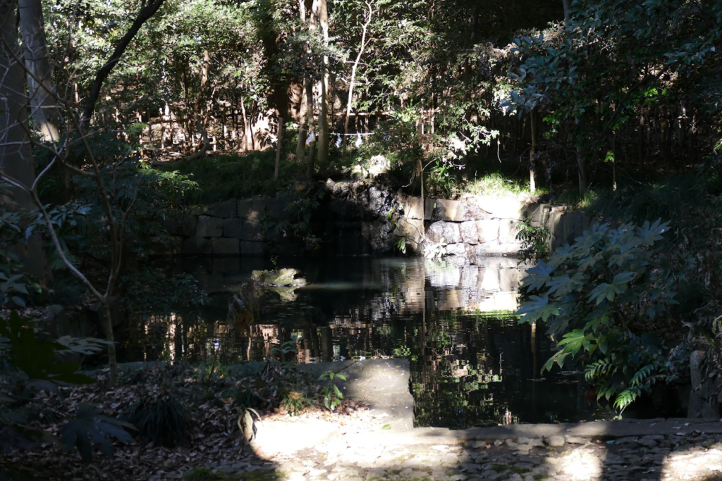 静寂を感じる池