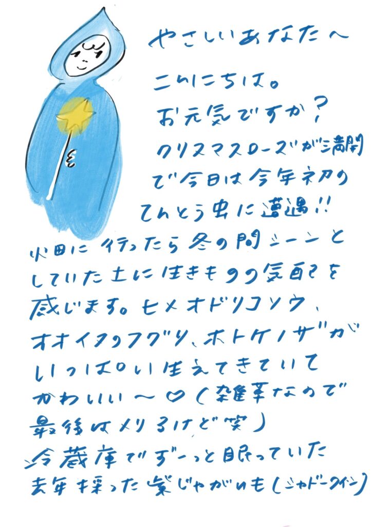 やさしいあなたへ
こんにちは。
お元気ですか?
クリスマスローズが満開で今日は今年初のてんとう虫に遭遇!!
畑に行ったら冬の間シーンとしていた土に生きものの気配を感じます。
ヒメオドリコソウ、オオイヌノフグリ、ホトケノザがいっぱい生えてきていてかわいい〜♡(雑草なので最後は刈るけど笑)
冷蔵庫でずーっと眠っていた去年採った紫じゃがいも(シャドークイーン)