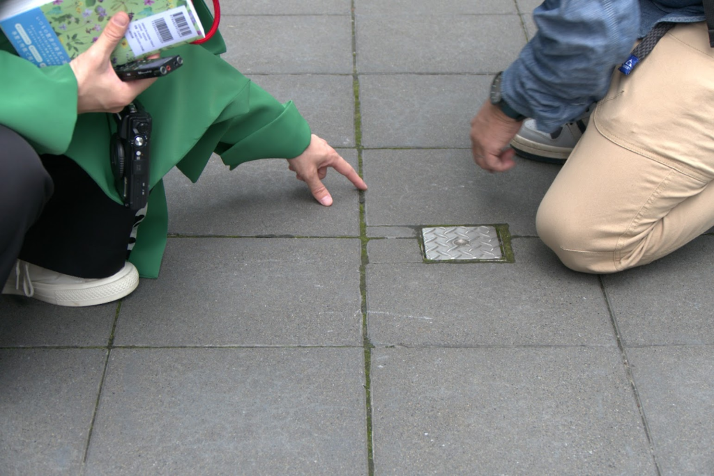 ブロックの目地にコケを見つけるふたり
