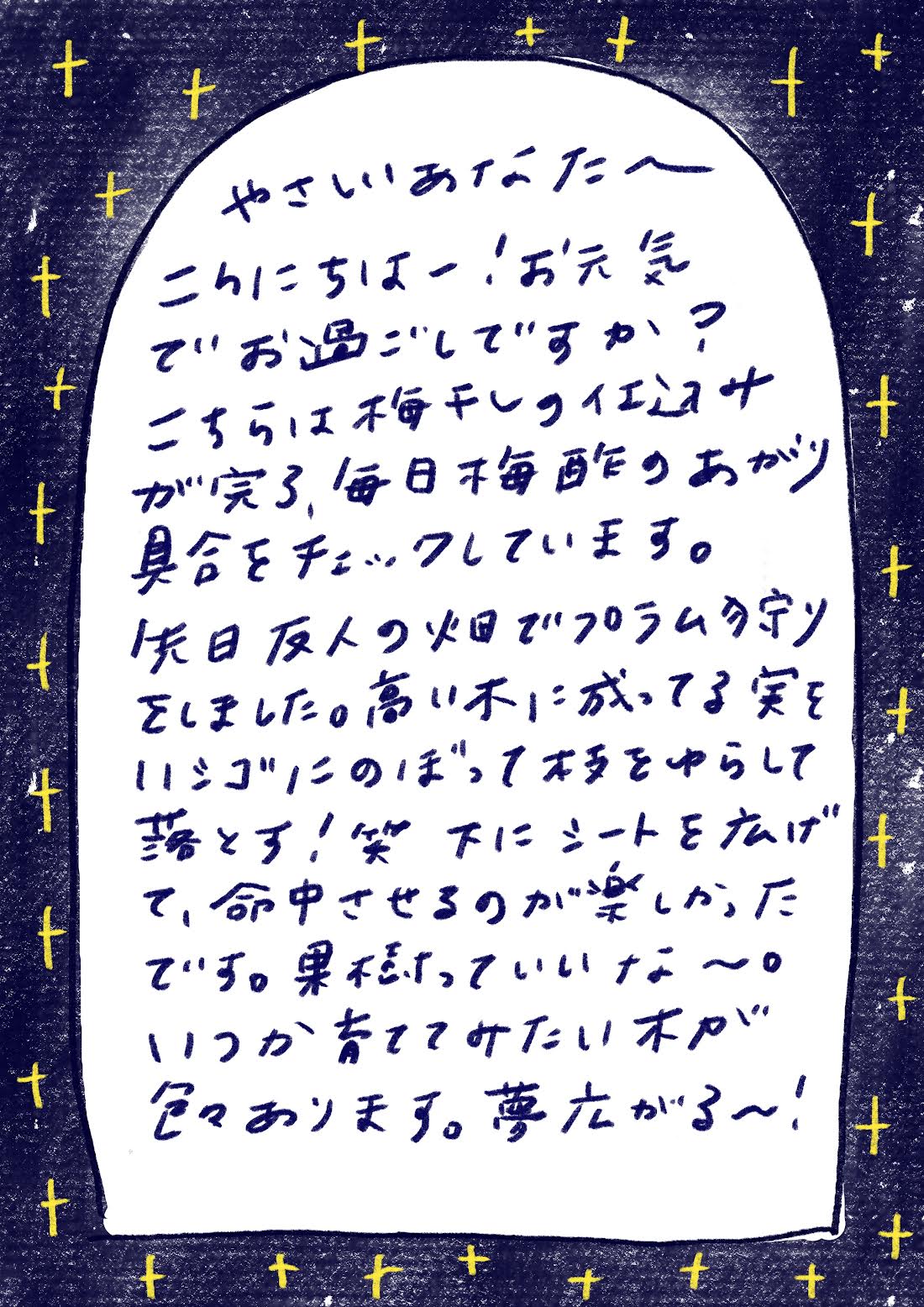 やさしいあなたへ

こんにちはー！お元気でお過ごしですか？

こちらは梅シロップ仕込みが完了、毎日梅酢のあがり具合をチェックしています。

先日友人の畑でプラム狩りをしました。高い木に成ってる実をハシゴにのぼって枝をゆらして採る！笑　下にシートを広げて、命中させるのが楽しかったです。果樹っていいな〜。

いつか育ててみたい木が色々あります。夢広がる〜！