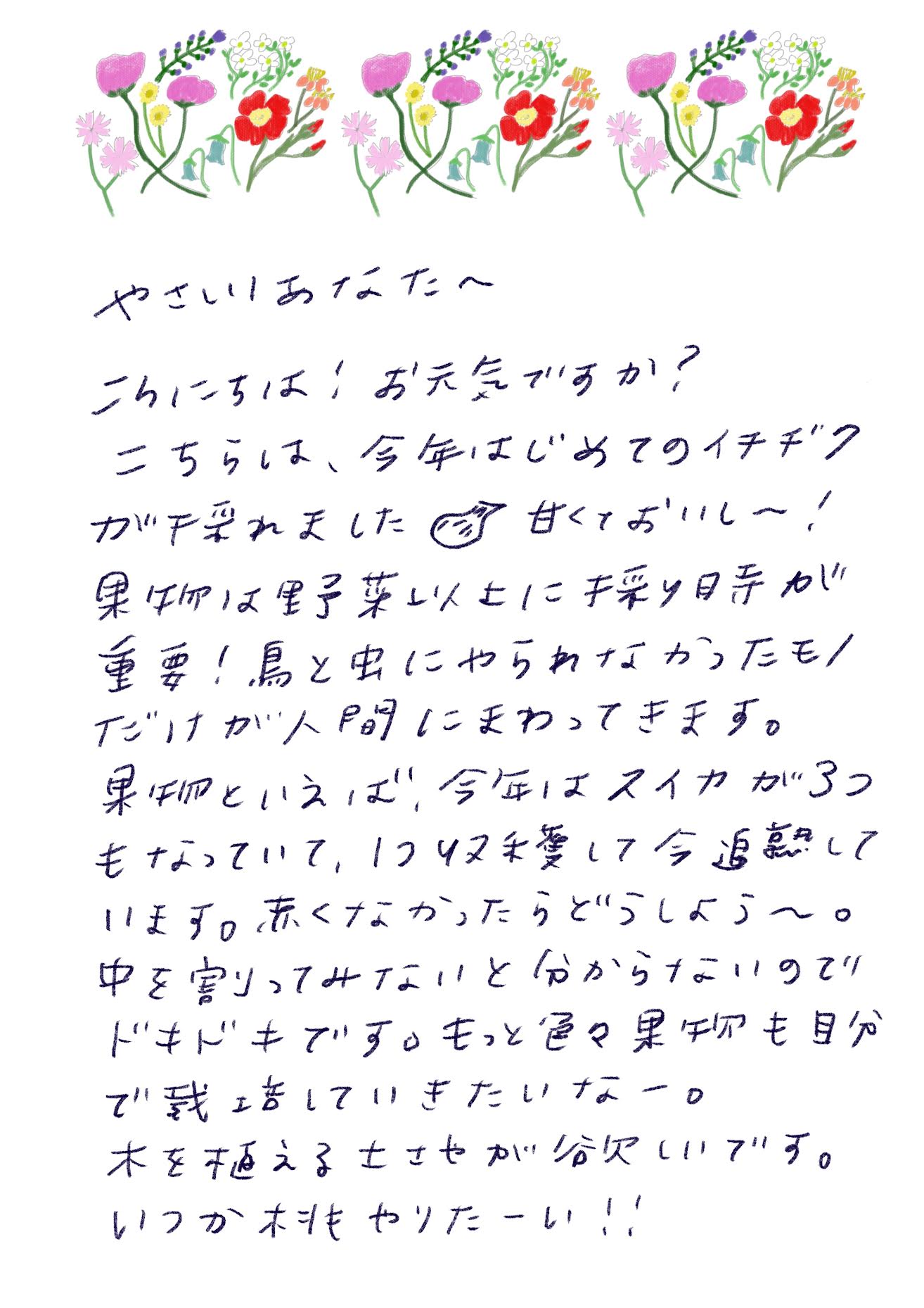 やさしいあなたへ こんにちは！お元気ですか？ こちらは、今年はじめてのイチヂクが採れました。甘くておいし〜！ 果物は野菜以上に千載一時（※手書きがやや判読しづらいです）が重要！鳥と虫にやられなかったモノだけが人間にまわってきます。 果物といえば、今年はスイカが3つもなっていて、いつ収穫して今週していいのか、赤くなかったらどうしよう〜。 中を割ってみないと分からないのでドキドキです。もっと色々、果物も自分で栽培していきたいなー。 木を植える土地が欲しいです。 いつか桃やりたーい！！