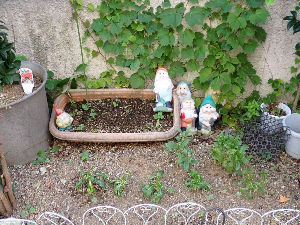 庭に置かれた7人の小人のうちの5人