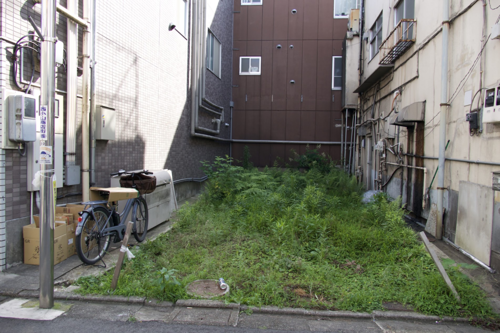緑の生い茂るあきち