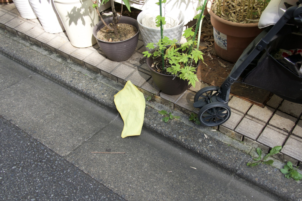 ハンカチが落ちている
