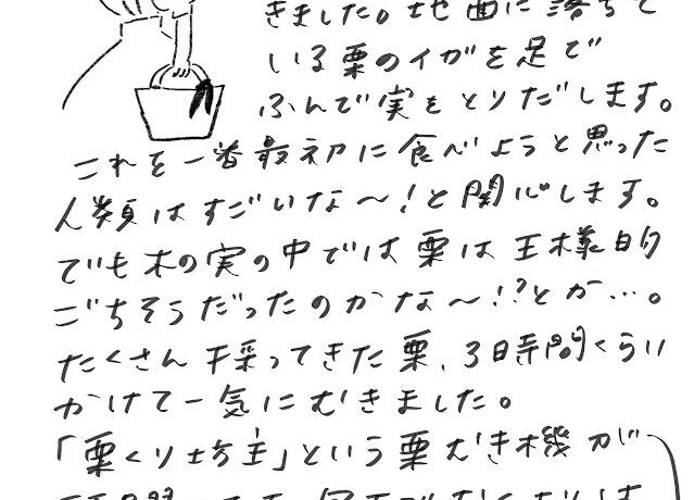 やさしいあなたへ こんにちは。 先日 栗拾いに行ってきました。地面に落ちている栗のイガを足でふんで実をとりだします。 これを一番最初に食べようと思った人類はすごいな〜！と感心します。 でも木の実の中では栗は王様的ごちそうだったのかな〜！？とか…。 たくさん拾ってきた栗、3時間くらいかけて一気にむきました。 「栗くり坊主」という栗むき機が活躍します。包丁でむくよりは楽だけど、それでも手が痛い〜！ 渋皮をきれいに残して鬼皮だけむくのが結構大変！