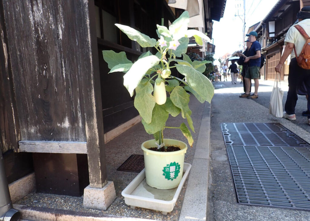 路上に暮らしがにじむまち・金沢編 #55 | エントリエマガジン