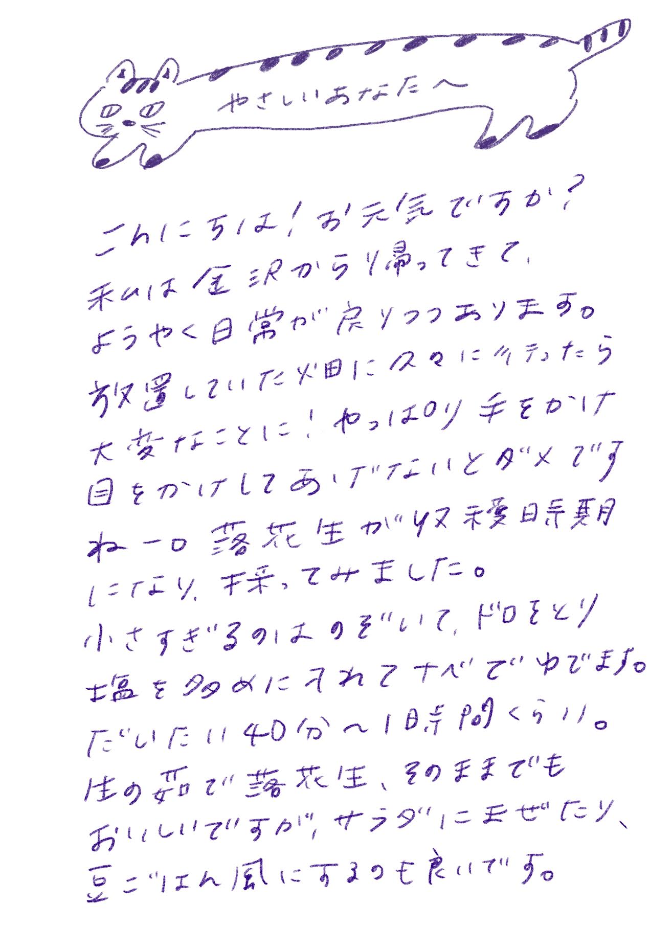 やさしいあなたへ

こんにちは！お元気ですか？
私は金沢から帰ってきて、ようやく日常が戻りつつあります。
放置していた畑に久々に行ったら大変なことに！やっぱり手をかけ目をかけしてあげないとダメですねー。

落花生が収穫時期になり、採ってみました。
小さすぎるのはのぞいて、ドロをとり、塩を多めに入れてナベでゆでます。だいたい40分〜1時間くらい。
生の茹で落花生、そのままでもおいしいですが、サラダに混ぜたり、豆ごはん風にするのも良いです。